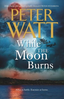 While the Moon Burns: Volume 11