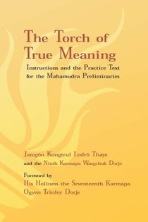 Lodro Thaye, J: Torch of True Meaning