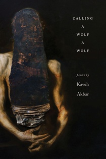 Akbar, K: Calling a Wolf a Wolf