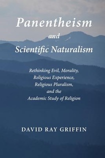 Panentheism and Scientific Naturalism: Rethinking Evil, Morality, Religious Experience, Religious Pluralism, and the Academic Study of Religion voorzijde