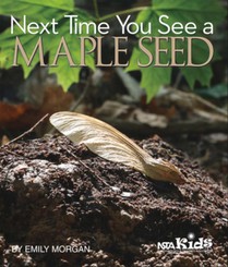 Next Time You See a Maple Seed: Using Children's Books to Guide Inquiry, 3-6