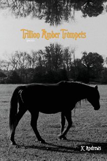 Trillion Amber Trumpets
