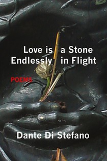 Love Is a Stone Endlessly in Flight