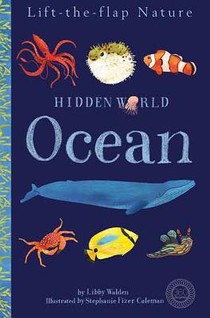 HIDDEN WORLD OCEAN-LIFT FLAP voorzijde