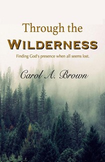 Through The Wilderness