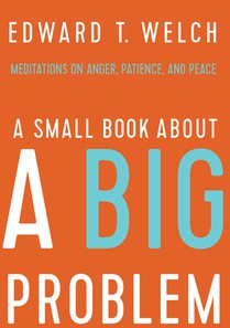 A Small Book about a Big Problem: Meditations on Anger, Patience, and Peace voorzijde