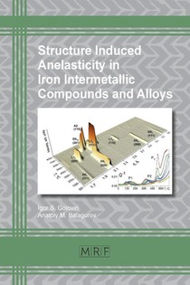 Structure Induced Anelasticity in Iron Intermetallic Compounds and Alloys