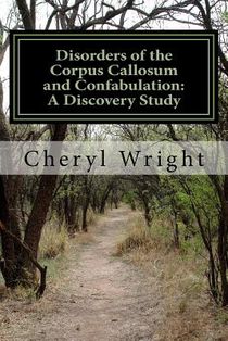 Disorders of the Corpus Callosum and Confabulation: A Discovery Study