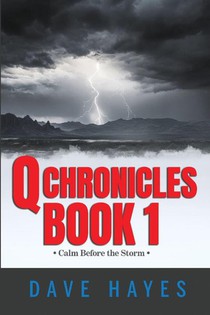 Q Chronicles Book 1