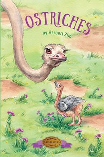 Ostriches
