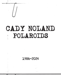 Cady Noland