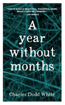 A Year Without Months