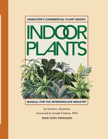 Hamilton's Commercial Indoor Plants: Water-Wise for Plant Longevity