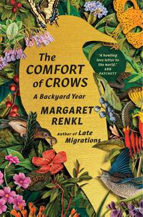 The Comfort of Crows