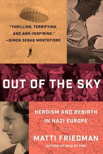 Friedman, M: Out of the Sky