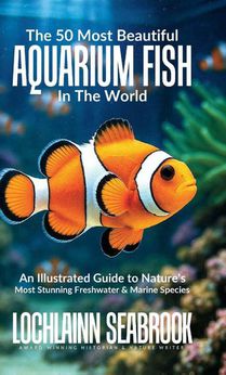 The 50 Most Beautiful Aquarium Fish in the World