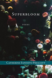 Superbloom