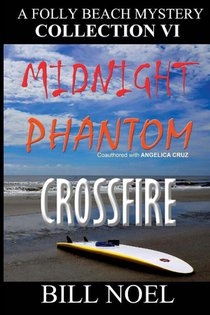 A Folly Beach Mystery Collection VI