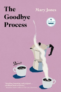 The Goodbye Process voorzijde