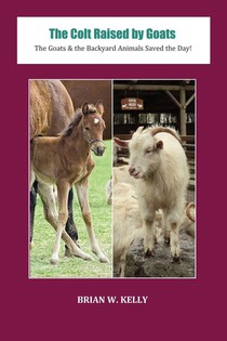 The Colt Raised by Goats