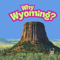 Why Wyoming?
