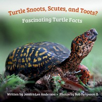 Turtle Snoots, Scutes, and Toots? Fascinating Turtle Facts