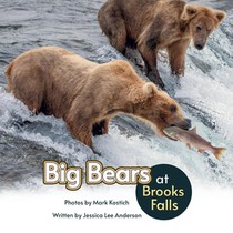 Big Bears at Brooks Falls