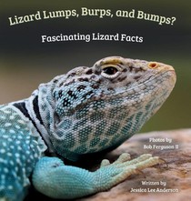 Lizard Lumps, Burps, and Bumps? Fascinating Lizard Facts