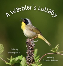 A Warbler's Lullaby