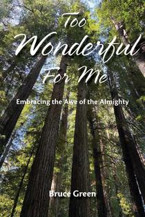 Too Wonderful for Me