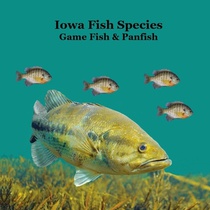 Marie, K: Iowa Game Fish and Panfish Species Kids Book