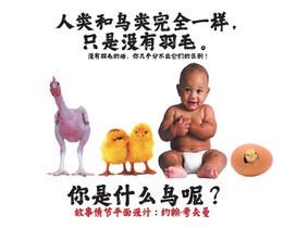 人类和鸟类完全一样，只是没有羽毛。