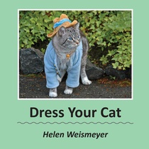 Dress Your Cat
