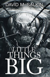 Little Things Big