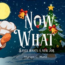 Now What? Santa Wants A New Job
