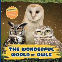The Wonderful World of Owls