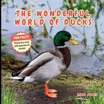 The Wonderful World of Ducks