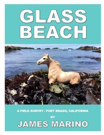 Glass Beach: A Field Survey / Fort Bragg, California