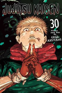 Jujutsu Kaisen, Vol. 30