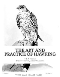 The Art and Practice of Hawking