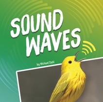 Sound Waves