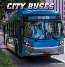 CITY BUSES