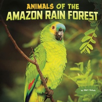 ANIMALS OF THE AMAZON RAIN FOR