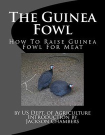The Guinea Fowl: How To Raise Guinea Fowl For Meat