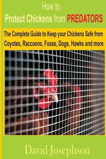 How to Protect Chickens from Predators: The Complete Guide to keep your Chickens Safe from Coyotes, Raccoons, Foxes, Dogs, Hawks and More