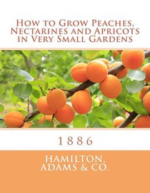 How to Grow Peaches, Nectarines and Apricots in Very Small Gardens: 1886