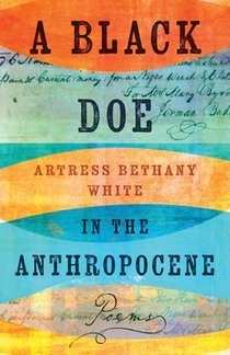 A Black Doe in the Anthropocene