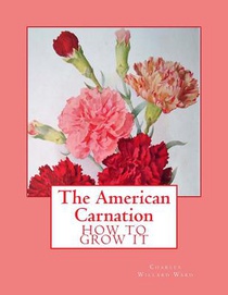 The American Carnation: How to Grow It