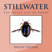 Stillwater: The Secret Life of Ponds