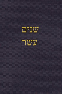 The Book of the Twelve